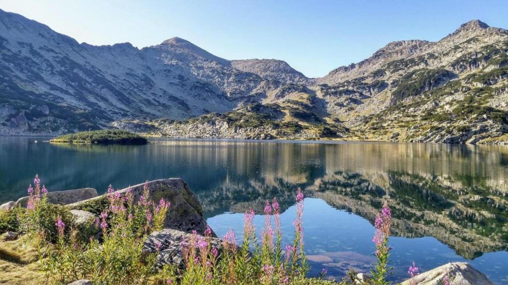 Hotel Famil - Adults Only Bansko Esterno foto